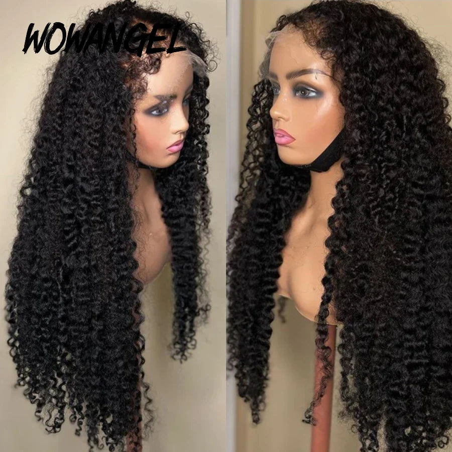 250% Afro Kinky Curly Baby Hair HD Lace Frontal Human Hair Wigs Deep Curly Glueless Wigs Melt Skins HD Full Lace Wigs for Woman
